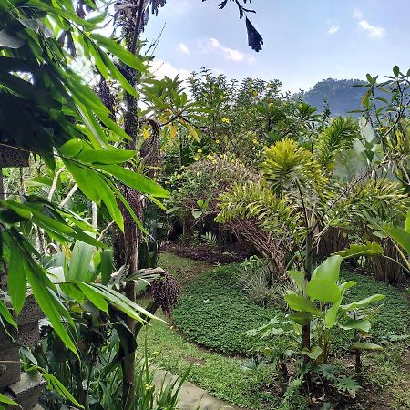 Kanda Homestay Sidemen  Dış mekan fotoğraf