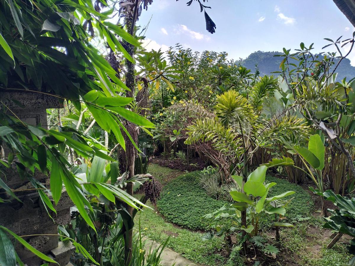 Kanda Homestay Sidemen  Dış mekan fotoğraf